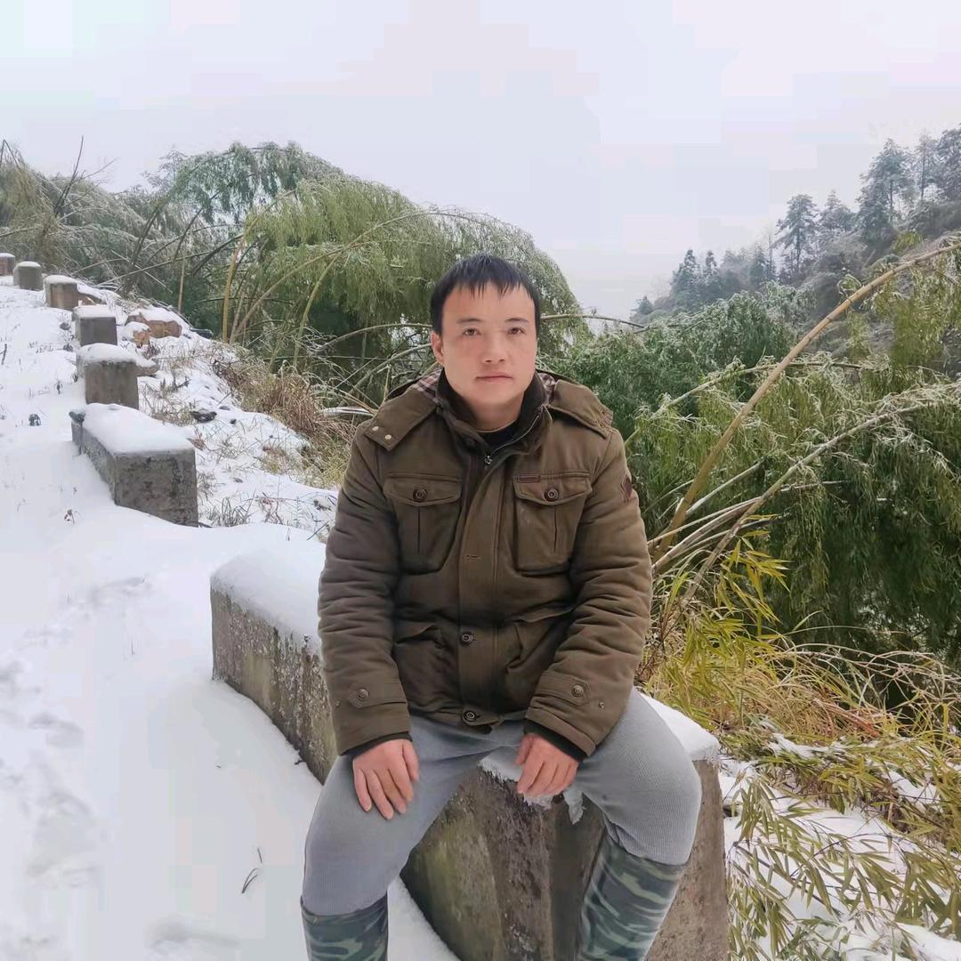 桂柳宝哥