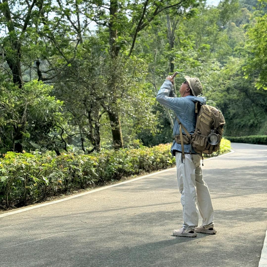 爱种罗汉松的小虎