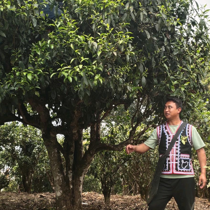 知道你来的爱。