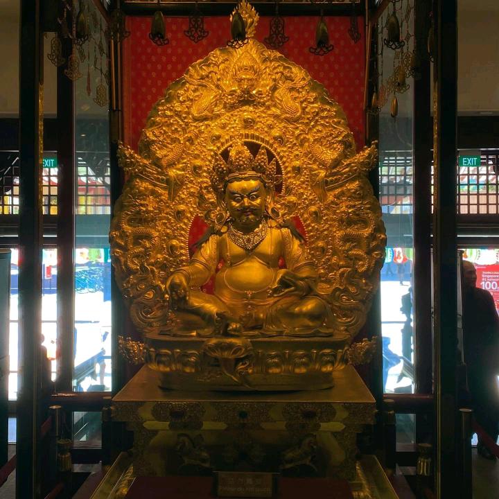 群主大大