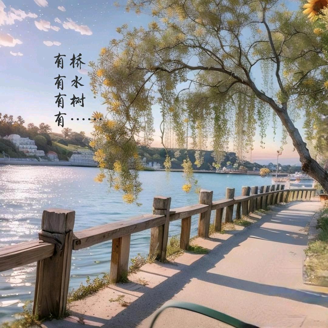唯梦✈️