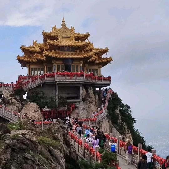 @程哥，橱窗有好物