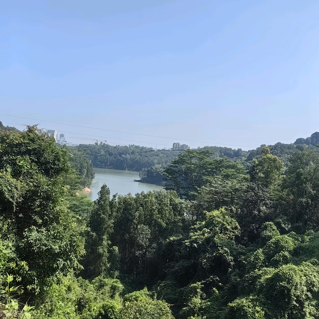 会计学堂龙华校区赵老师