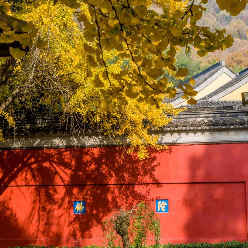 普陀山雷师傅