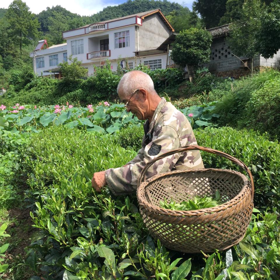泮嗲