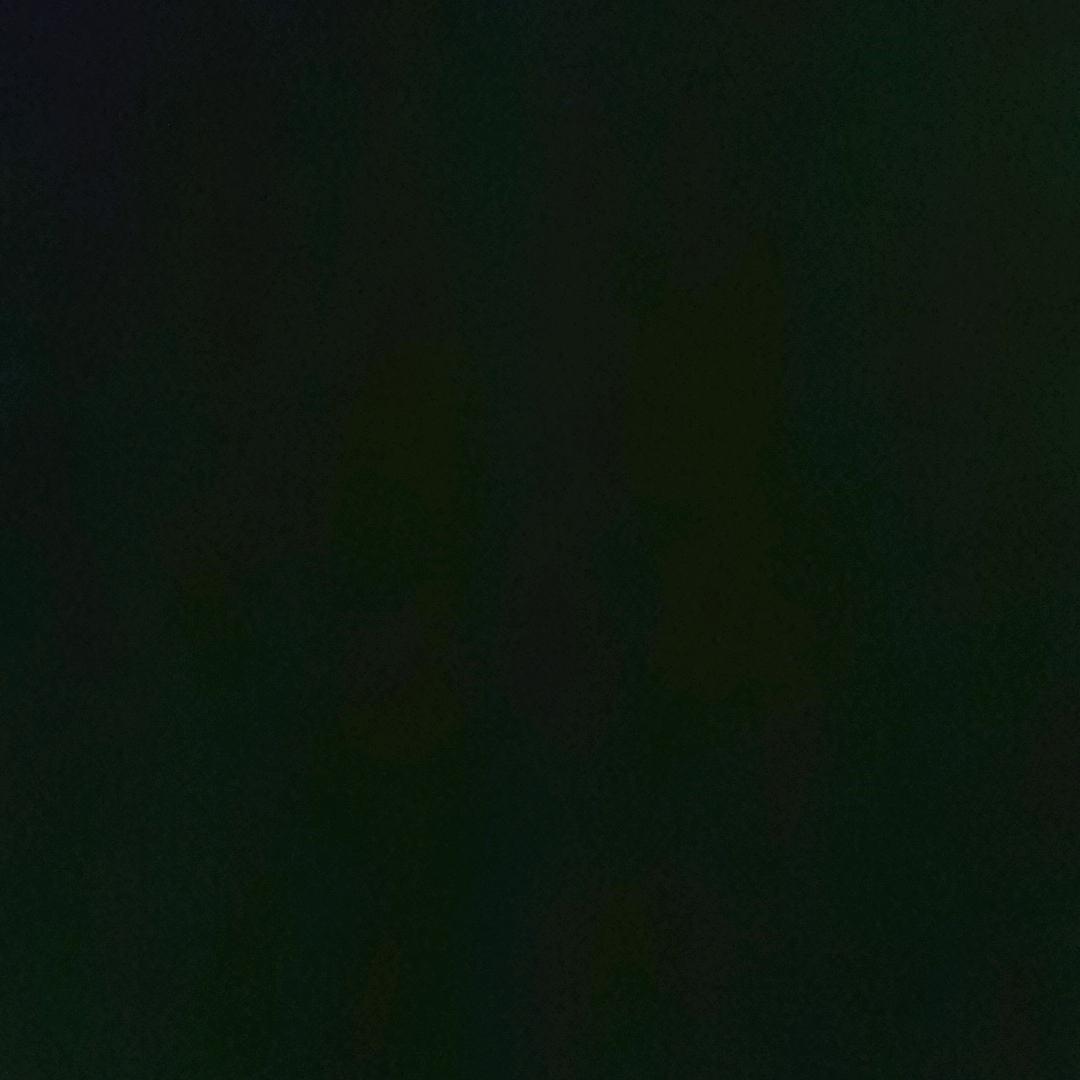 孙延龙