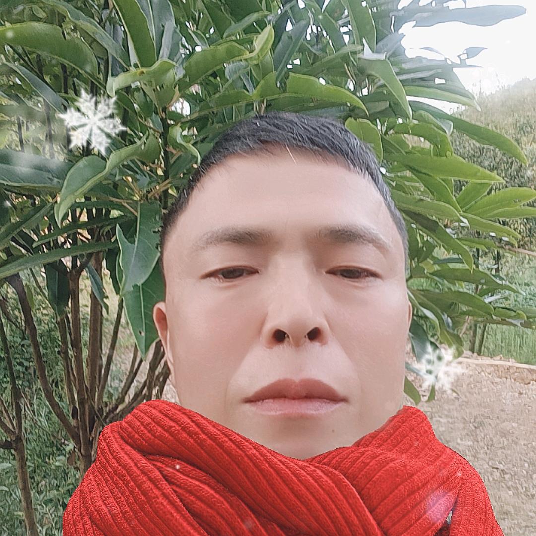 老帅锅（李）