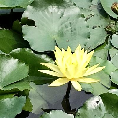 清风相随