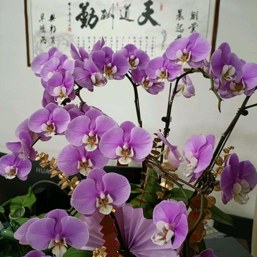 汝晗粤鑫隆女装专卖店