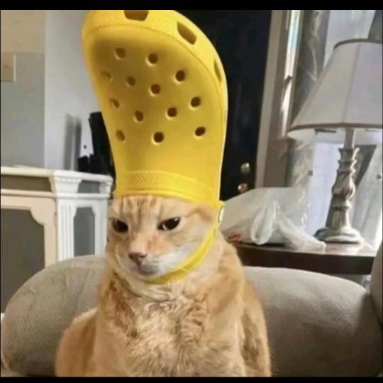 远方的鹏友（预瘦30斤版）