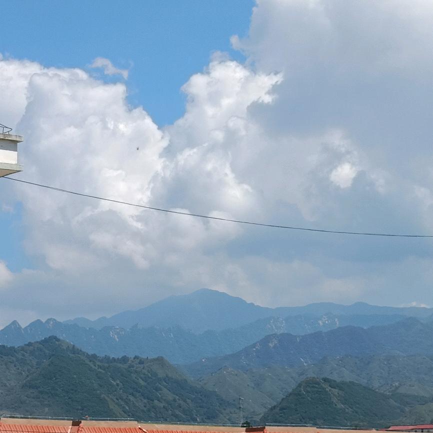 2021118奇迹出现🙏