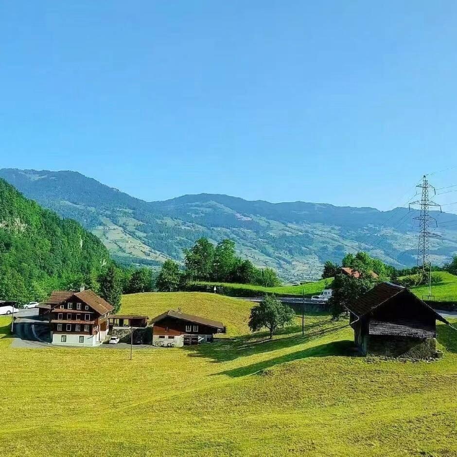 被窝一级保护动物🐑🐑