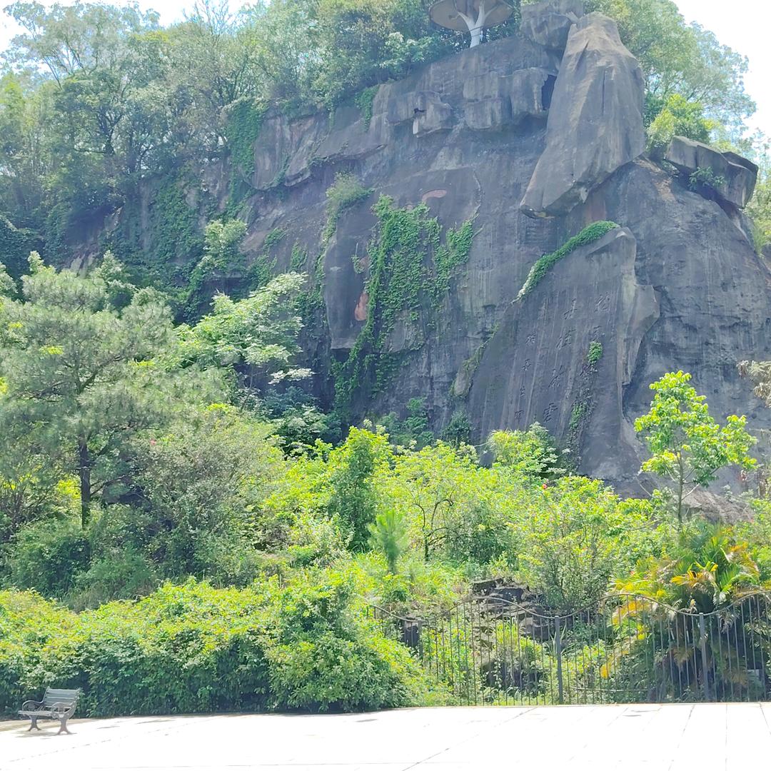 戏子⊙﹏⊙多情♥