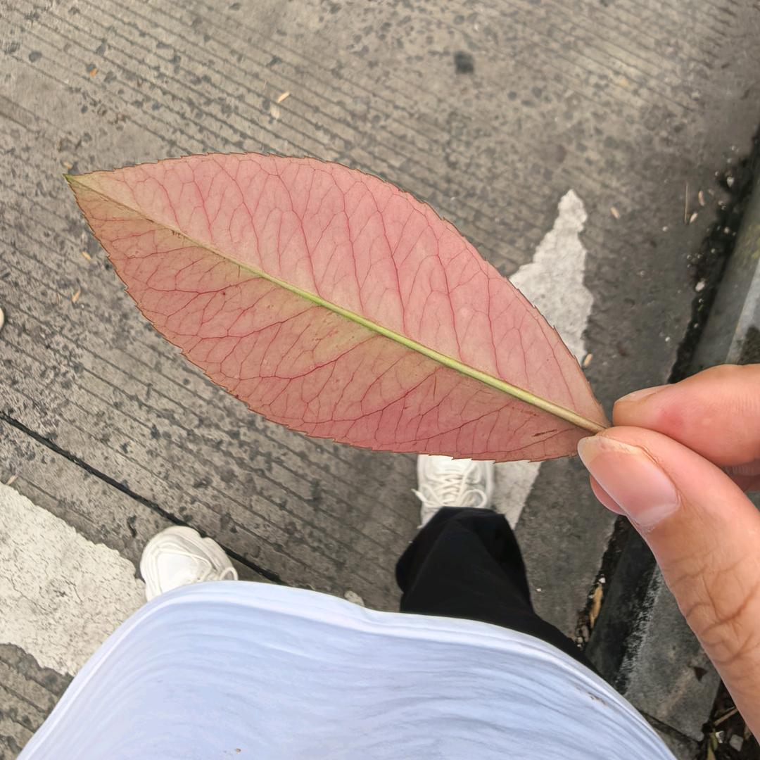 晴天！