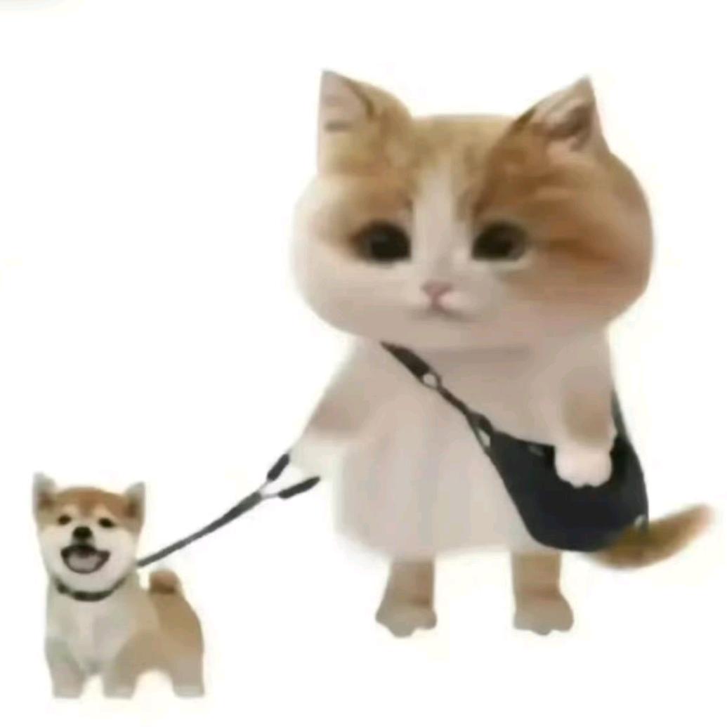 hdgdj