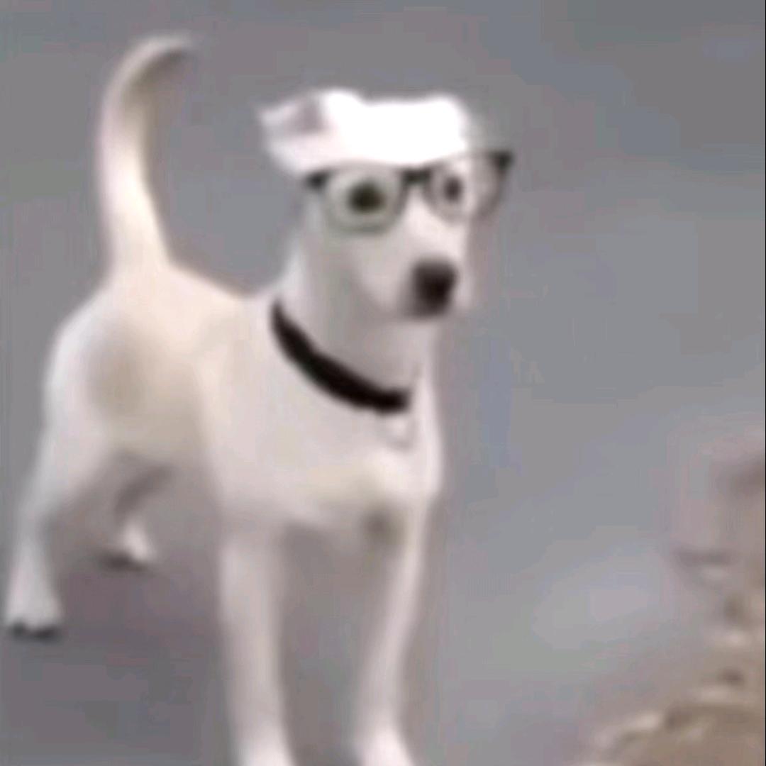 文艺青年