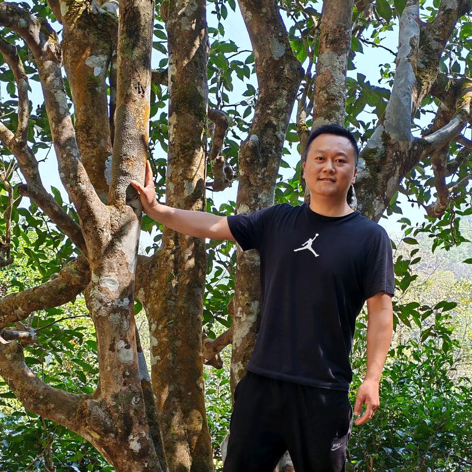 云南普洱茶第一城