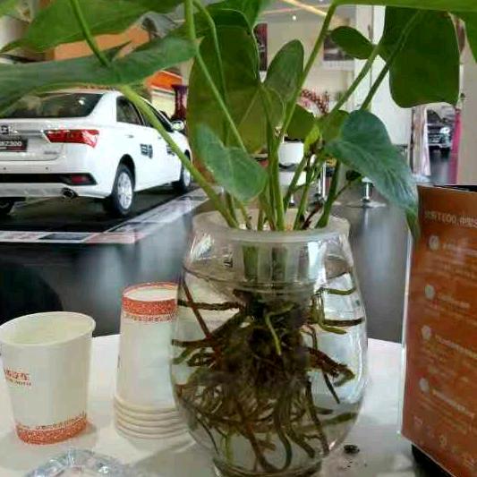 《珍惜》甄姐