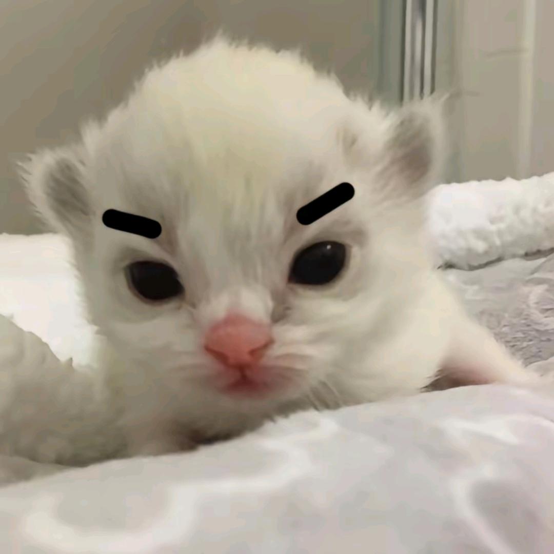 猫᳐੭（恶毒版。