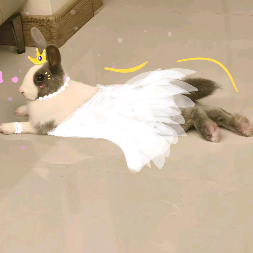 小美的挖宝日记