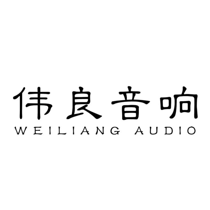 伟良音响专营店