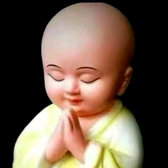 财神给我一碗汤