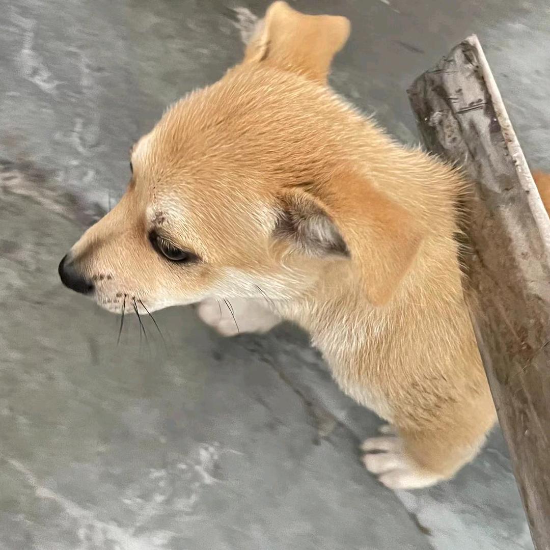 金峰通佑石化加油站官方号