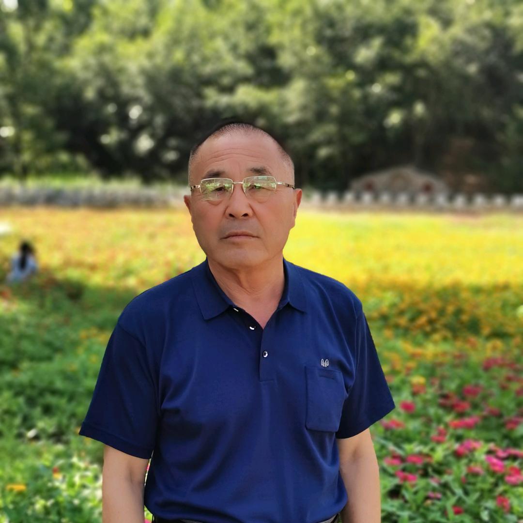 裕见龙城