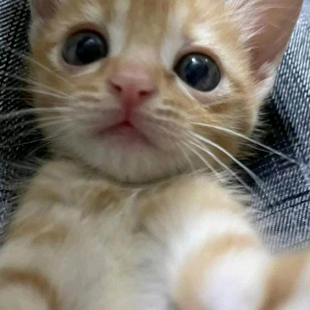 退后^