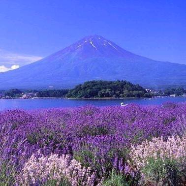 多情总被无情伤