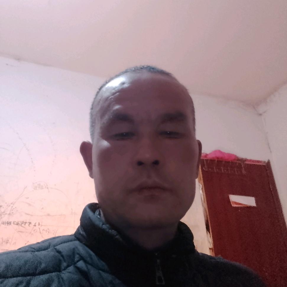 哈兵抖