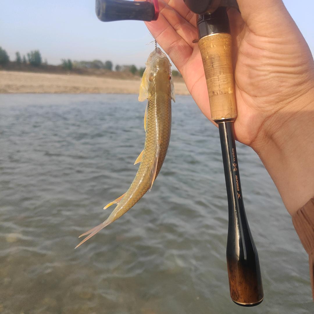 @陈  爱钓鱼