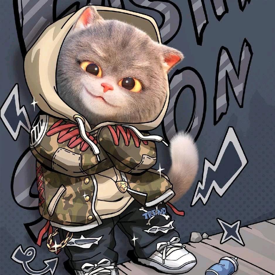 🍀  🐯  🍀