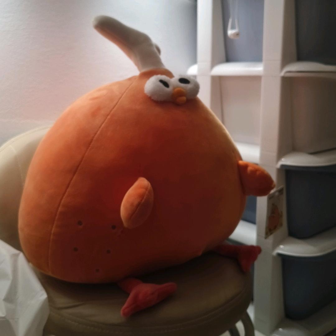 来一杯芭乐奶绿