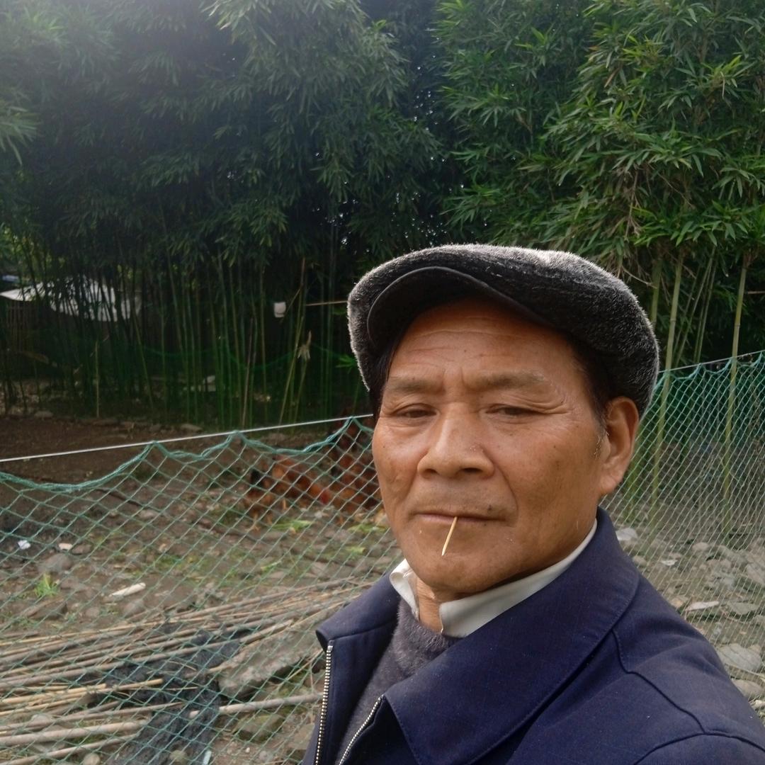 老刘