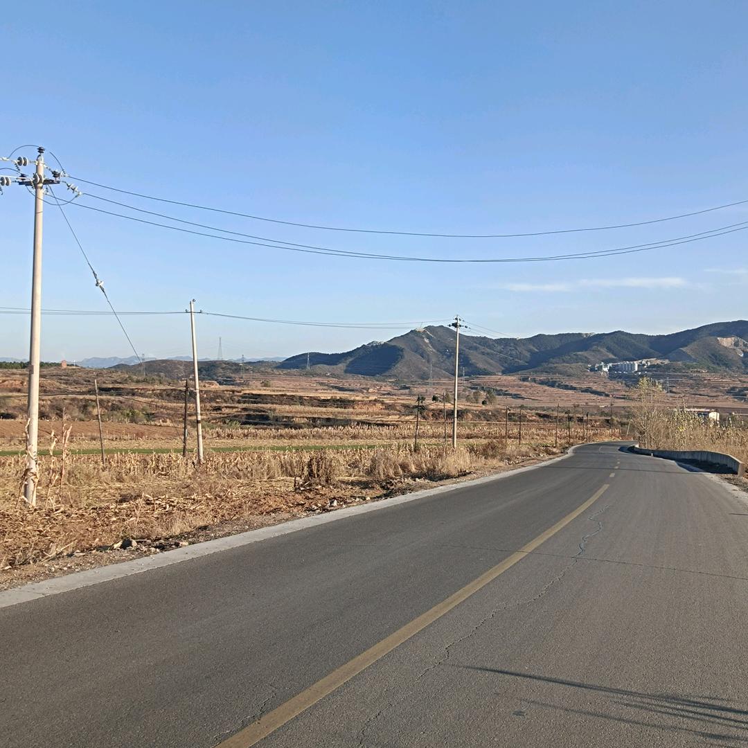 小糖丸