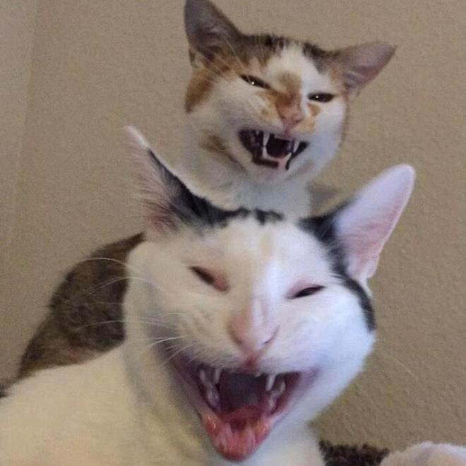 ⑥
