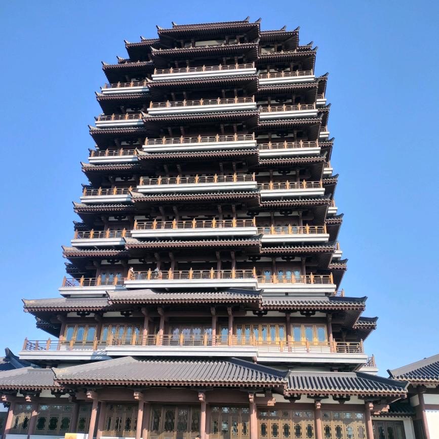 蝴