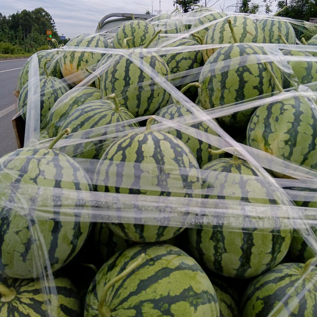 高老七水果店，各种应季水果。