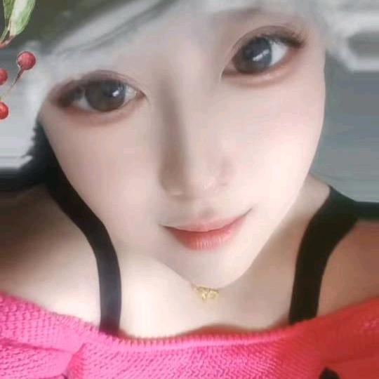 成都金德全围栏防护网(全国发货)