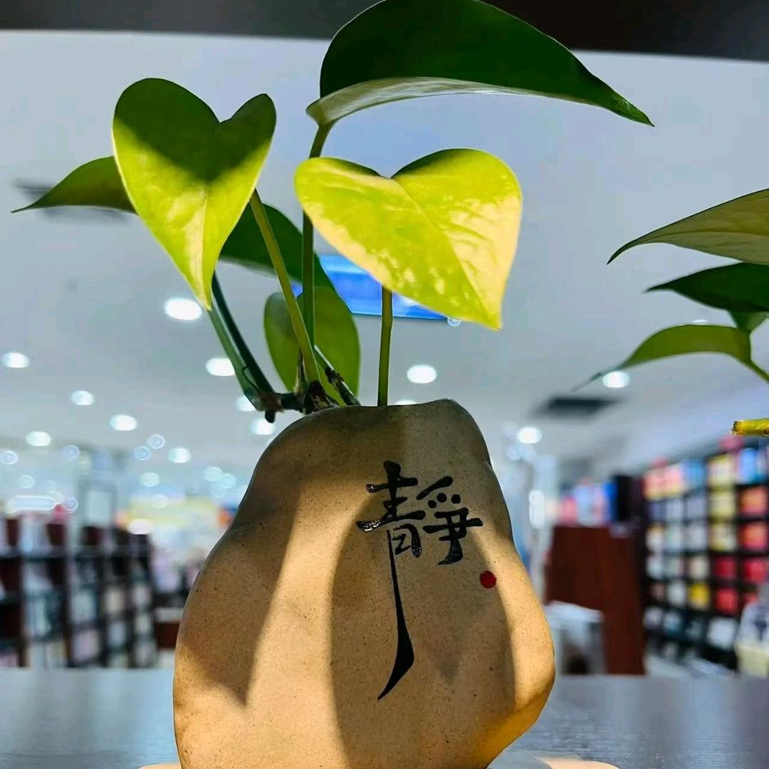 🌈家有皮宝👦🏻💞(拒绝连赞)