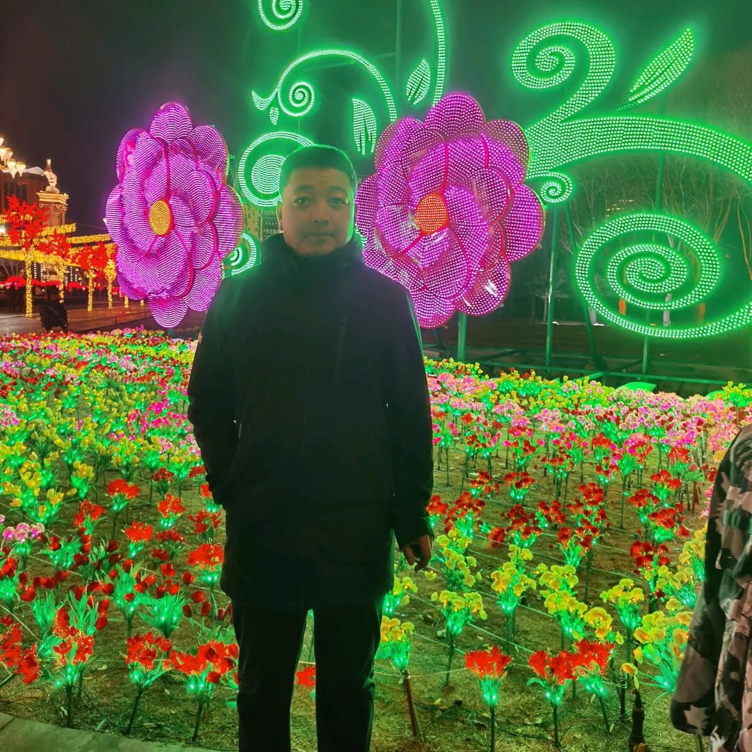 草原上的雄鹰。