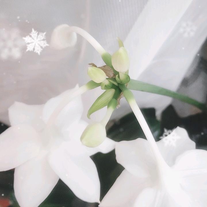 60年鼠《生话号》🚀