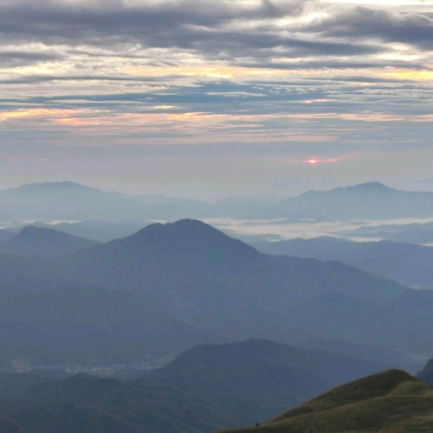 云中月----------寒蝉