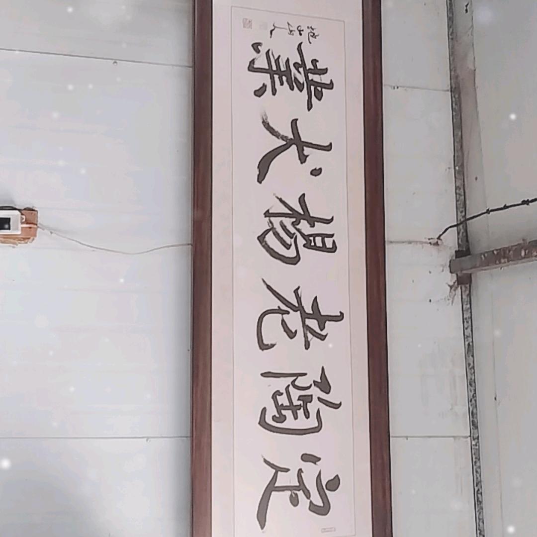 老杨犬业