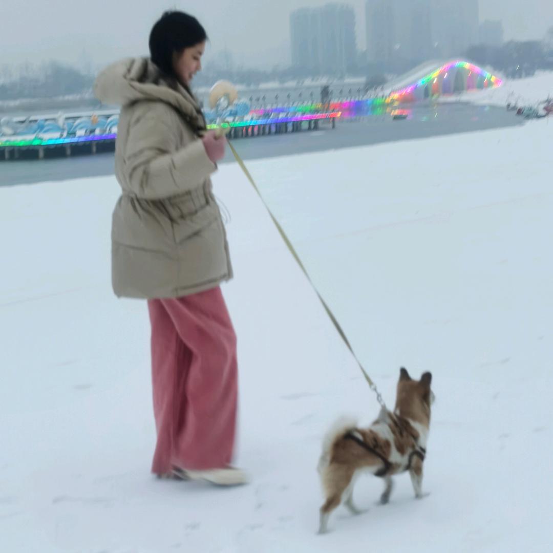 独思思