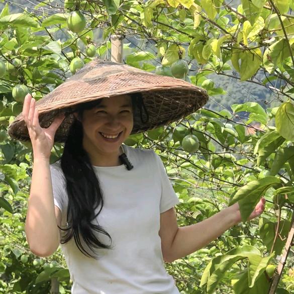 百香果果在产地