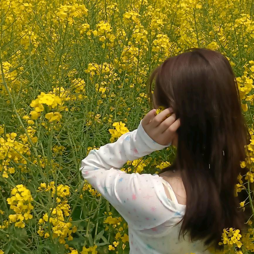 洋芋抱紧折耳根