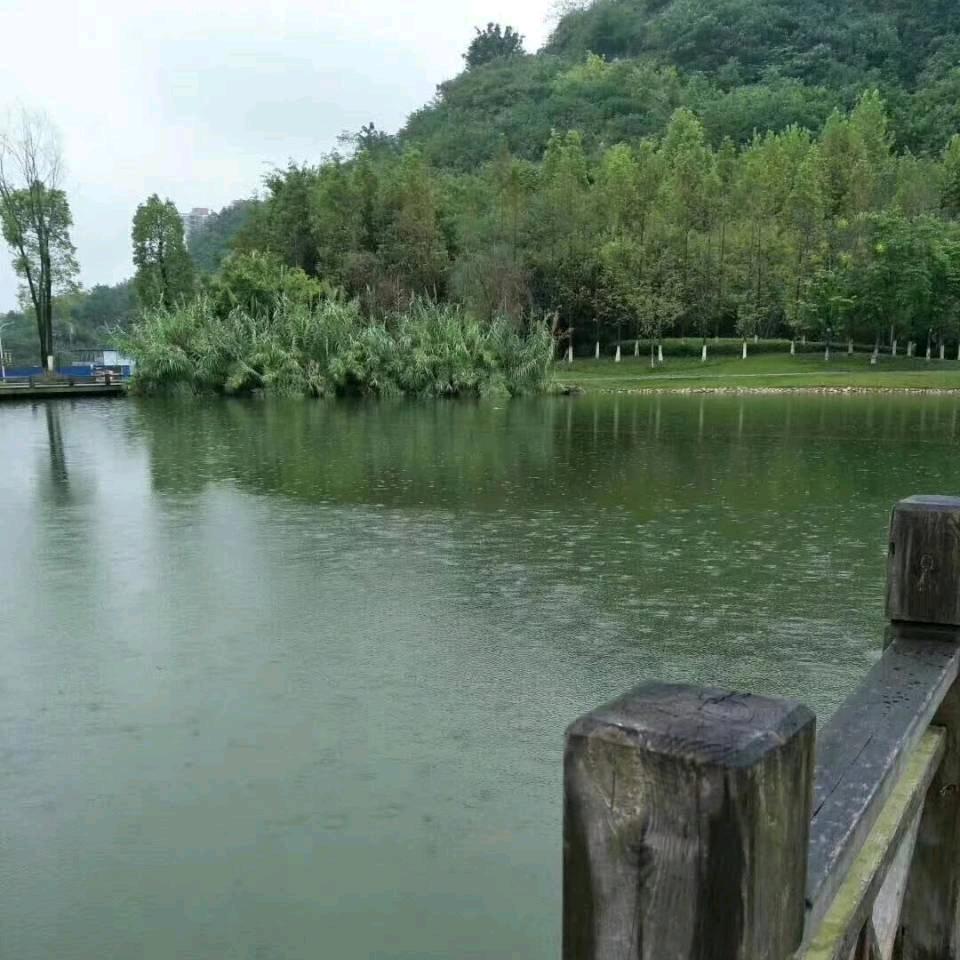 杨建