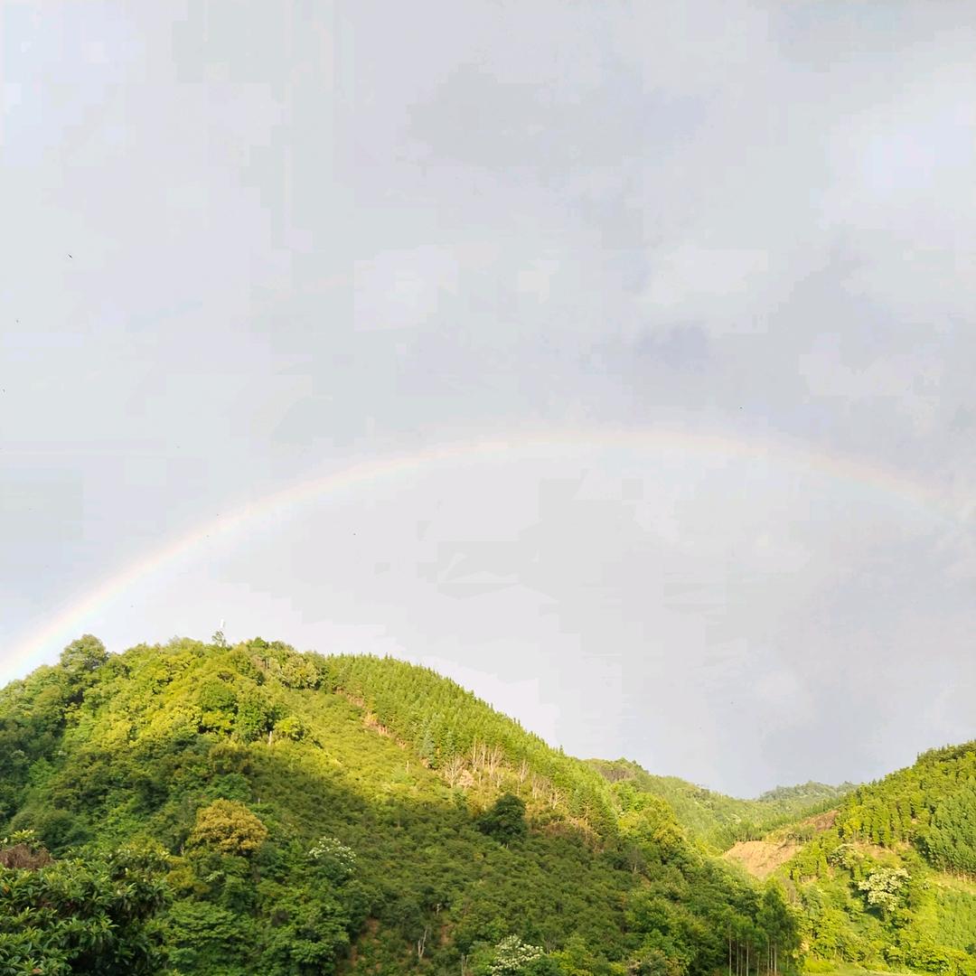 好运满满╭